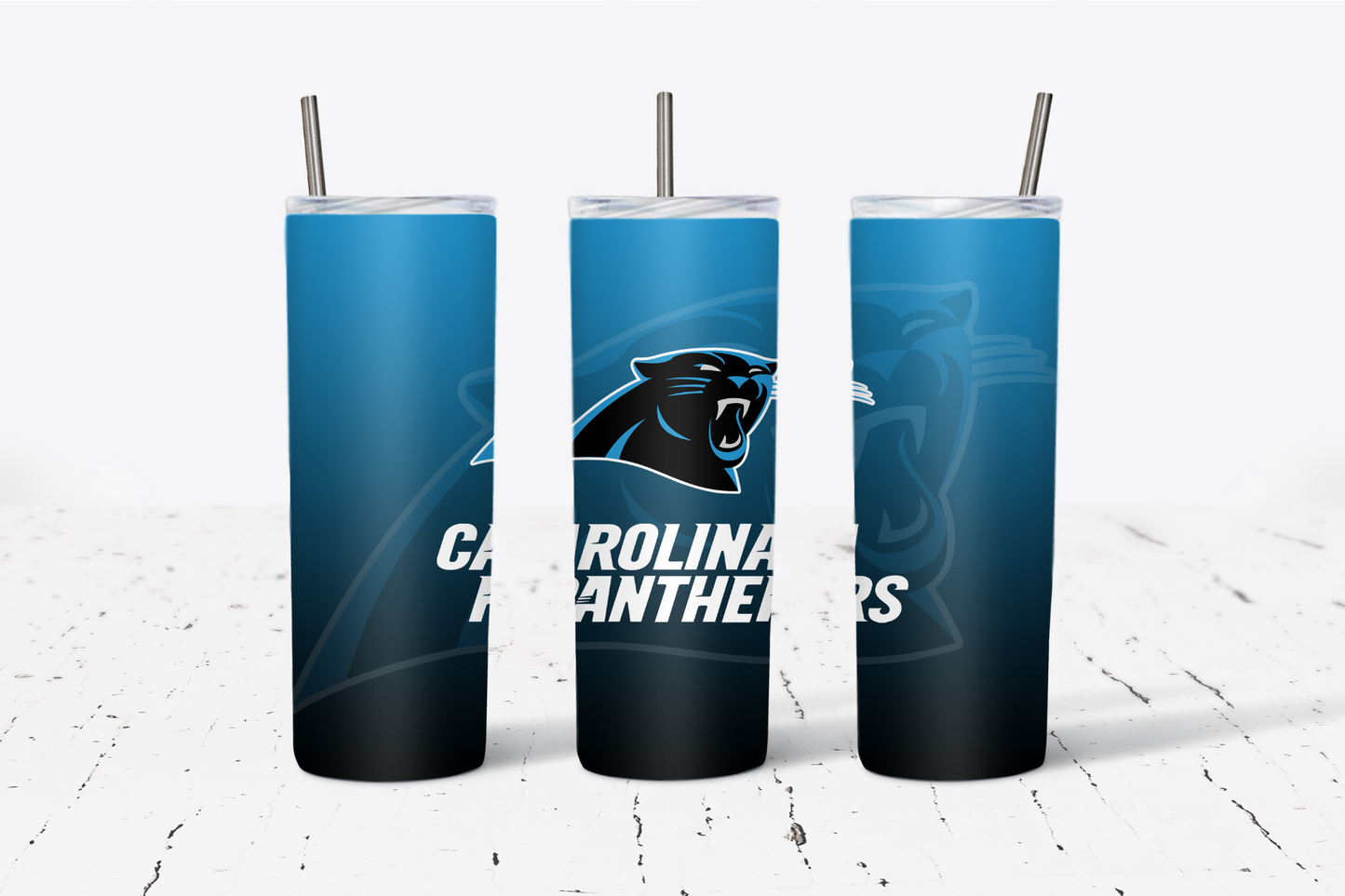 Carolina 20oz Stainless Steel Tumbler